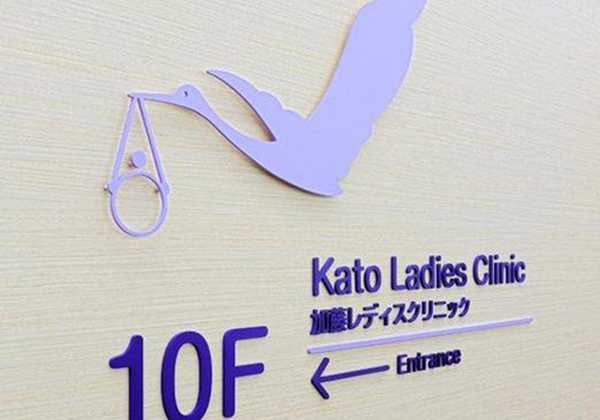 日本东京加藤女子医院.jpg